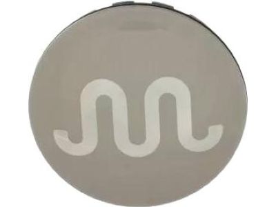 Ford DL3Z-1130-B Center Cap