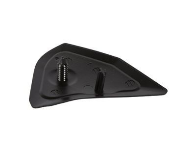 Ford FL3Z-1029038-A Rear Molding