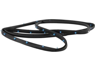 Ford FT4Z-5820708-B Weatherstrip On Body