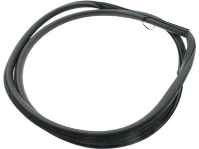 Ford FT4Z-5820708-B Weatherstrip On Body