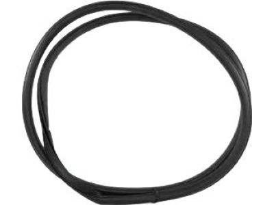 Ford FT4Z-5820708-B Weatherstrip On Body