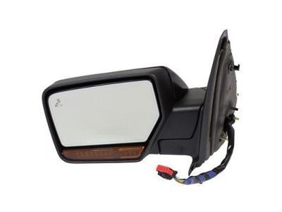 Ford FL1Z-17683-CAPTM Mirror Assembly