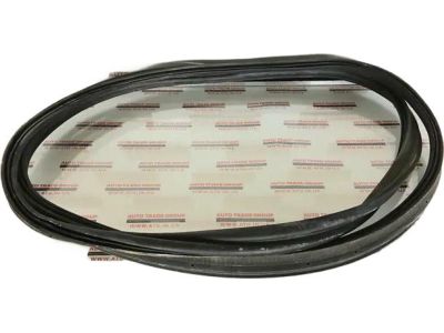 Ford AM5Z-5843720-A Weatherstrip