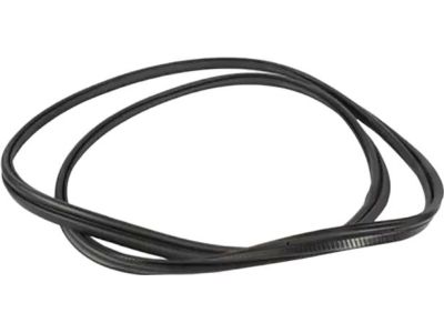 Ford AM5Z-5843720-A Weatherstrip