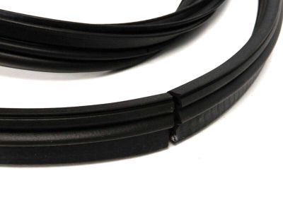 Ford 1F1Z-5443720-AA Weatherstrip