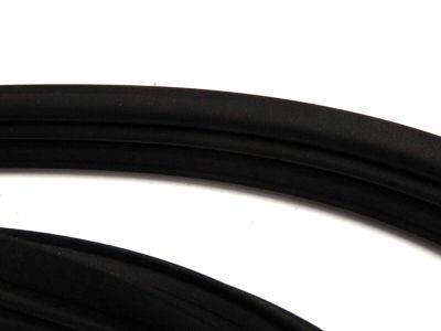 Ford 1F1Z-5443720-AA Weatherstrip