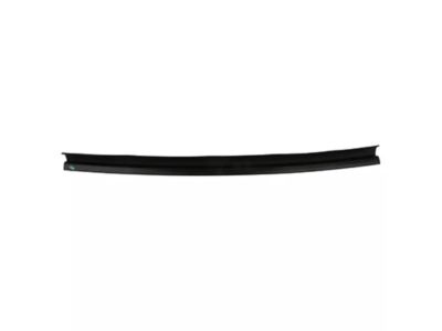 Ford DT1Z-9929796-H Rear Molding