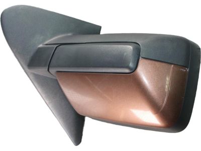 Ford BL1Z-17682-CAPTM Mirror Assembly