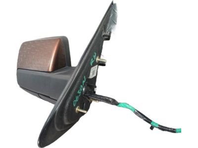 Ford BL1Z-17682-CAPTM Mirror Assembly
