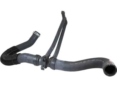 Ford 5C3Z-8286-AA Lower Hose