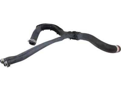 Ford 5C3Z-8286-AA Lower Hose