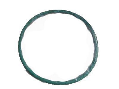Ford 4L3Z-9276-AA Module O-Ring