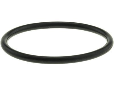 Ford F1VY-8255-A Thermostat O-Ring