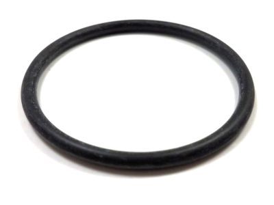 Ford F1VY-8255-A Thermostat O-Ring