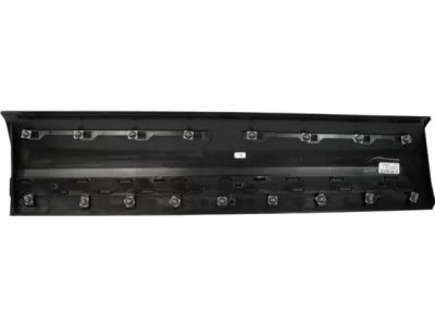Ford HB5Z-7820878-DA Lower Molding