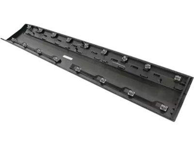 Ford HB5Z-7820878-DA Lower Molding