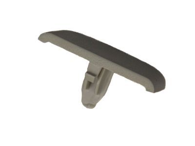 Ford DS7Z-4273-AA Sunvisor Cap