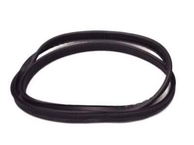 Ford D9ZZ6651346A Weatherstrip