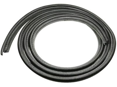 Ford D9ZZ6651346A Weatherstrip