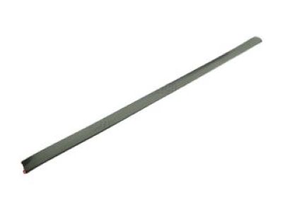 Ford 5C3Z-2820878-AAG Body Side Molding