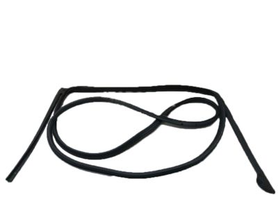 Ford 7T4Z-7825324-A Door Weatherstrip