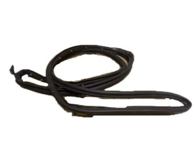 Ford 8L2Z-7825324-A Surround Weatherstrip