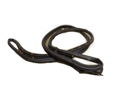 Ford 8L2Z-7825324-A Surround Weatherstrip