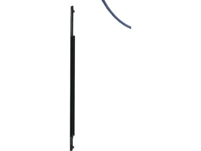 Ford 8A5Z-5421453-AB Belt Weatherstrip