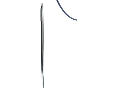 Ford 8A5Z-5421453-AB Belt Weatherstrip