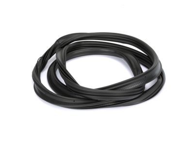 Ford BB5Z-78404A06-C Weatherstrip