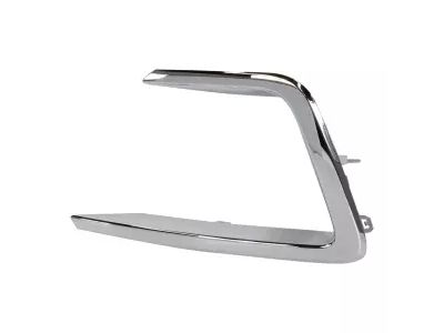 Ford JL1Z-15A245-AB Bezel - Fog Lamp