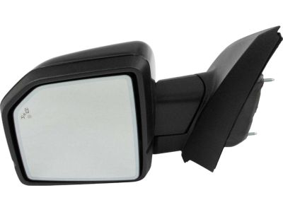 Ford JL3Z-17683-MAPTM Mirror Assembly