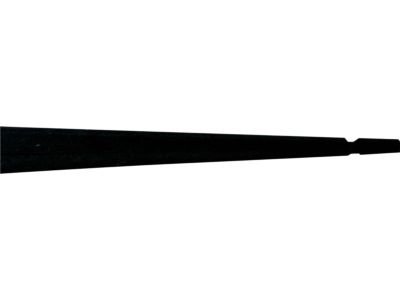 Ford 8A8Z-7425597-A Belt Weatherstrip