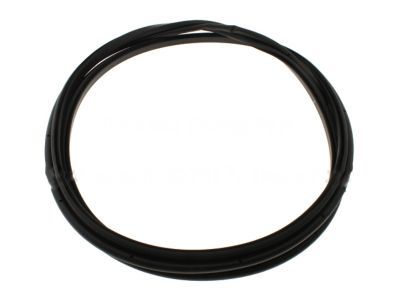 Ford 2L1Z-7842084-CA Weatherstrip