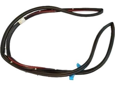 Ford BM5Z-5820709-B Door Weatherstrip