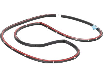 Ford BM5Z-5820709-B Door Weatherstrip