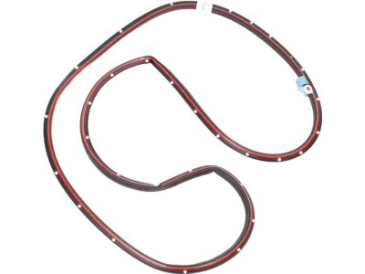Ford BM5Z-5820709-B Door Weatherstrip