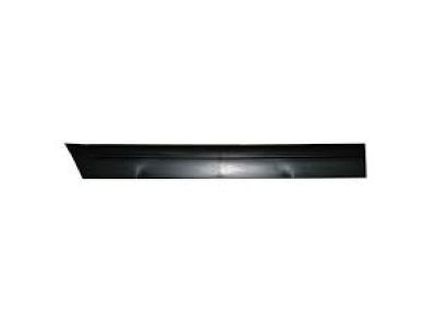 Ford 5W7Z-5425556-APTM Body Side Molding