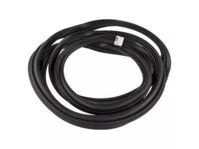 Ford DT1Z-61404A06-G Weatherstrip On Body