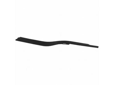 Ford FL3Z-1521453-D Belt Molding