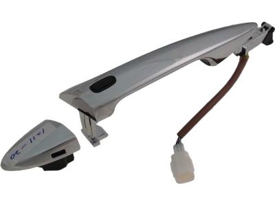 Ford BB5Z-7822600-AA Handle Assembly - Door