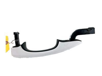 Ford DS7Z-5422405-AAPTM Handle, Outside