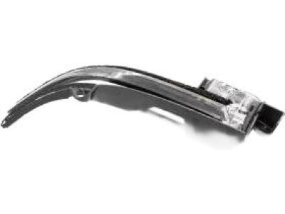 Ford DP5Z-13B374-A Signal Lamp