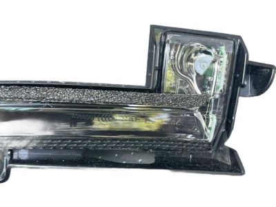 Ford DP5Z-13B374-A Signal Lamp