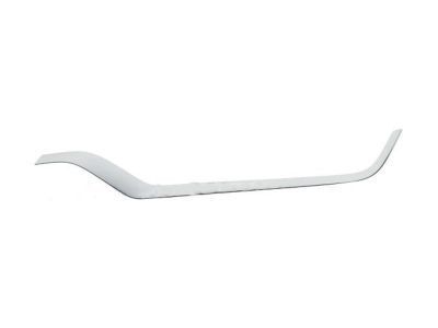 Ford FA1Z-17E811-AB Outer Molding