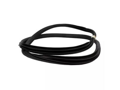 Ford KL3Z-16253A10-A Weatherstrip On Body