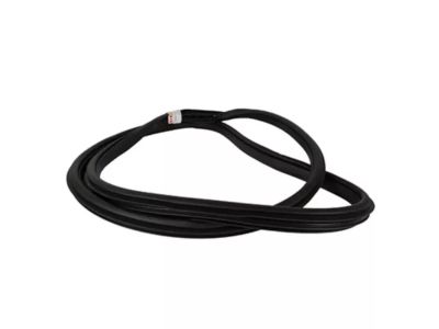 Ford KL3Z-16253A10-A Weatherstrip On Body