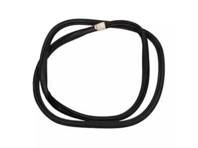 Ford KL3Z-16253A10-A Weatherstrip On Body