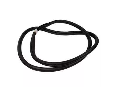 Ford KL3Z-16253A10-A Weatherstrip On Body