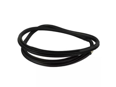Ford KL3Z-16253A10-A Weatherstrip On Body